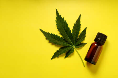 Medicinal cannabis leaf with marijuana oil in bottle on bright yellow background.の写真素材