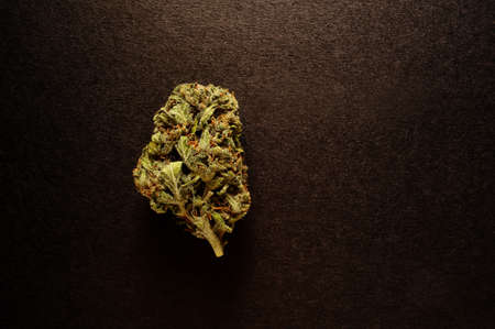 Marijuana buds closeup. Medicinal cannabis on black background. Hemp recreation, medical usage, legalization.の写真素材