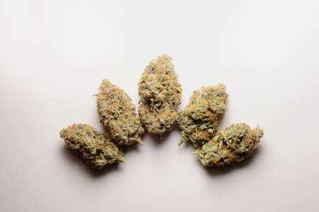 Marijuana buds closeup. Medicinal cannabis flowering on white background, isolated. Hemp recreation,...