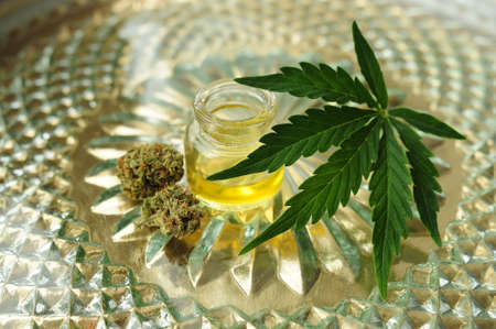 Marijuana oil and dried buds, cbd recreation. Fresh cannabis leaf close up. Home relaxation, pastime therapy. Alternative medicine.の写真素材