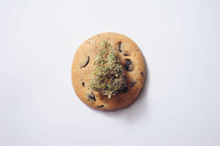 CBD cookies with cannabis and buds of marijuana on white table. Concept of cooking with cannabis herb. Treatment of medical marijuana for home usage in food.の写真素材