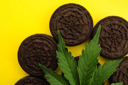 Marijuana leaf and chocolate halloween sweets on yellowの写真素材