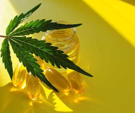 Marijuana oil, cbd recreation. Fresh cannabis leaf close up, isolated on yellow background. Home relaxation, pastime therapy. Alternative medicine.の写真素材