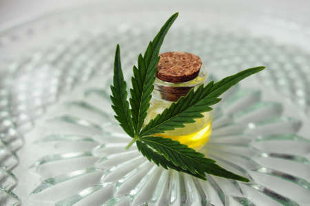 Marijuana oil, cbd recreation. Fresh cannabis leaf close up. Home relaxation, pastime therapy. Alternative medicine.の写真素材