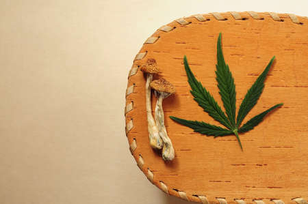 Dried psilocybe cubensis psilocybin mushrooms and cannabis leaf on wooden background, flat lay. Psychedelic experience. Natural herbal therapy. Spiritual experience.の写真素材