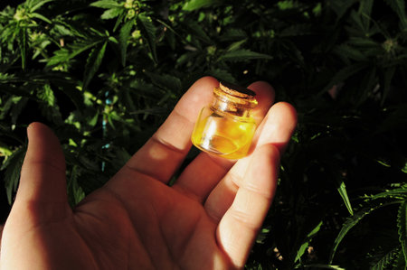 Man's hand with cosmetic bottle on fresh cannabisの写真素材