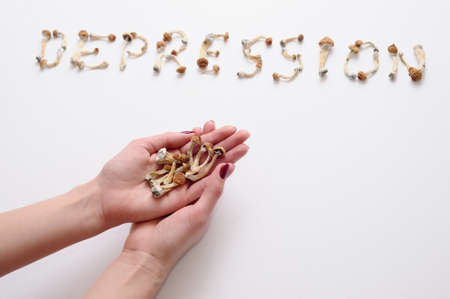 Dry psilocybin mushrooms on whiteの写真素材