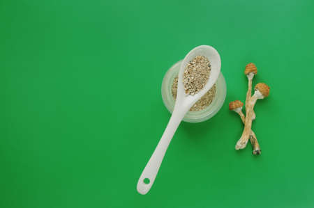 Microdosing concept. Dry psilocybin mushrooms on green background. Natural organic supplement....
