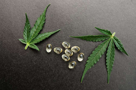 Medicinal cannabis leaves with cbd oil. Marijuana oil in medical capsules isolated on black background.の写真素材