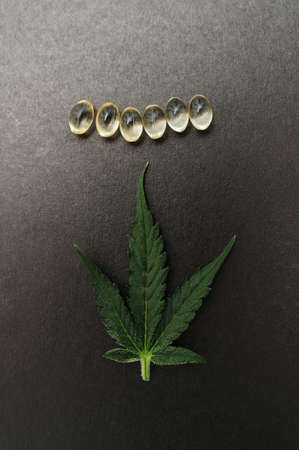 Medicinal cannabis leaves with cbd oil. Marijuana oil in medical capsules isolated on black background.の写真素材