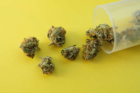 Marijuana micro-dosing concept. Cannabis buds in plastic cup on yellow background. CBD therapy, medical usage. Natural antidepressan, top view, flat lay.の写真素材