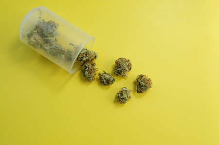 Marijuana micro-dosing concept. Cannabis buds in plastic cup on yellow background. CBD therapy, medical usage. Natural antidepressan, top view, flat lay.の写真素材