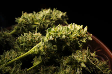 Marijuana buds in a dish. Cannabis flowers on black background. Weed recreational, canna kitchen, legalization concept.の写真素材
