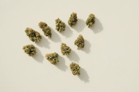Marijuana buds closeup. Medicinal CBD cannabis, dried flowering lay on ivory background. Weed recreation, top view, flat lay.の写真素材