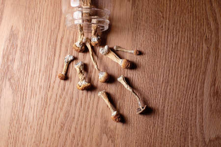 Psilocybin mushrooms close-up. Dried psilocybe cubensis on wooden background, flat lay. Magic...
