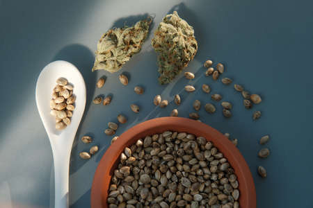 A bunch of cannabis seeds lie on a spoon and plate with several dried budsの写真素材