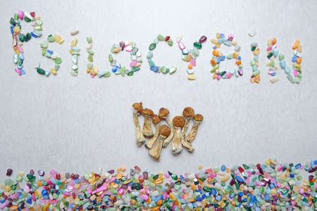 "Psilocybin" inscription. Psychedelic mushrooms on textured background. Dry psilocybe shrooms Golden Teacher, top view.の写真素材