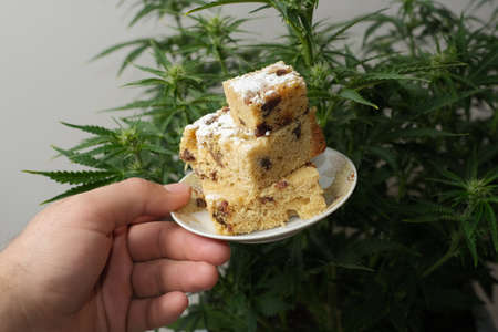 Homemade pie and powdered sugar with CBD oil. cannabis kitchen. Marijuana cake on white table and herbal background.の写真素材
