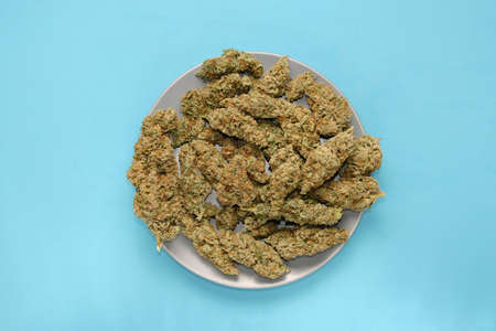 Micro-dosing concept. Cannabis drying flowers on a plate, blue layout. Marijuana blooms. Hemp buds...