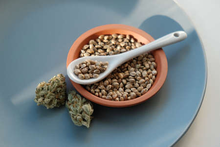 A bunch of cannabis seeds lie on a spoon and plate with several dried budsの写真素材