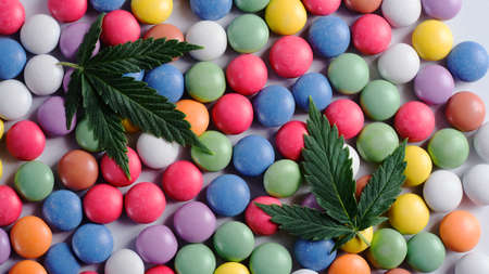 Marijuana sweets with CBD oil on white background. Cannabis leaves with colorful candy confetti...