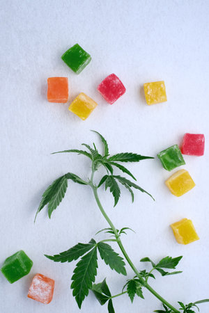 Layout of colorful marmalade and marijuana plant on white textured background. Sweets with CBD oil. Top view, flat lay.の写真素材