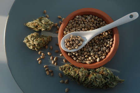 A bunch of cannabis seeds lie on a spoon and plate with several dried budsの写真素材