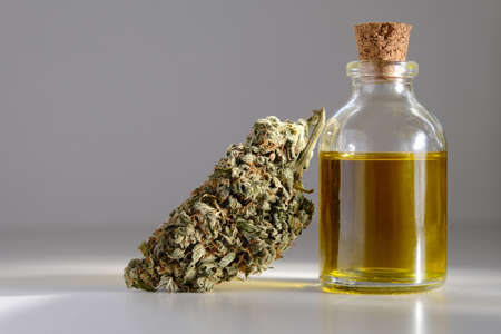 CBD oil with dry cannabis bud. Marihuana extract.の写真素材