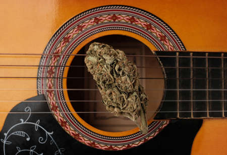 Music and marijuana concept.. Dry cannabis bud lays on the guitar
