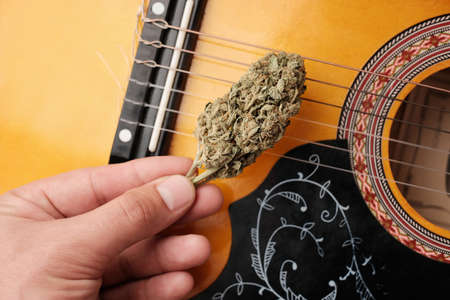 Music and marijuana concept. Dry cannabis bud in man's hand on guitar background.の写真素材