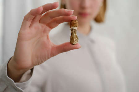 Psilocybin mushroom in woman's hand on grey background. Psychedelic magic mushrooms trip. Medical usage. Microdosing concept.の写真素材