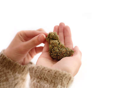 Close up of cannabis bud in young woman`s hands on a brown background. Medical marijuana use concept.の写真素材