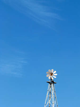 Summerの写真素材