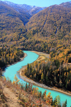 Autumn forestの写真素材