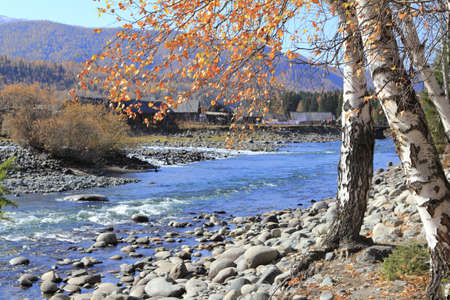 Landscapeの写真素材