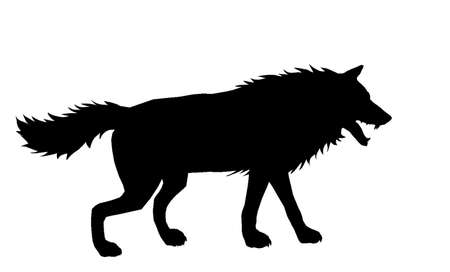 Jackal Royalty Free Stock Illustrations And Vectors Stocklib Jackal Royalty Free Stock Illustrations And Vectors Stocklib