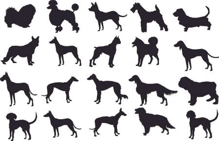 Silhouette Dog Set, Various Dog, Pet, Hound, Guard ,  Animal - Vector Illustrationのイラスト素材