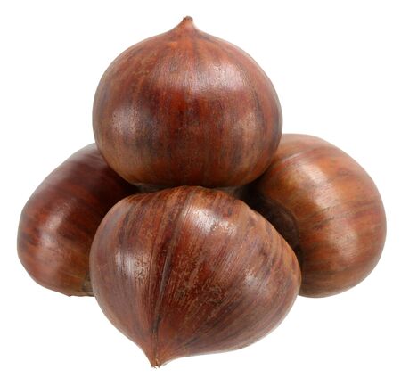 Chestnuts on a white background の写真素材