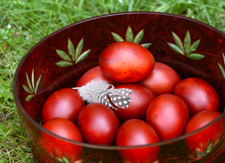Easter eggs on green grass の写真素材