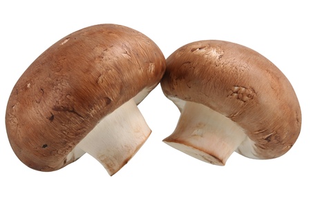 Two portabello mushrooms isolated on a white background.の写真素材