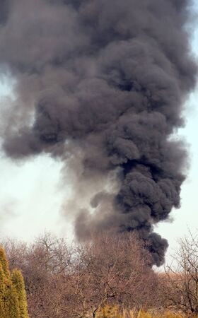 Forest fire and black smoke.の写真素材