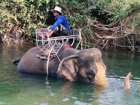 KO CHANG, THAILAND - JANUARY 23.2013: mahout sits on the back of an elephantのeditorial素材