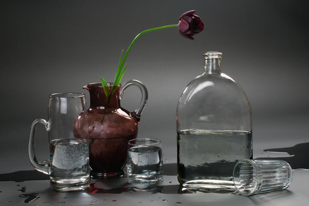 Glassware, tulip and water on a gray backgroundの写真素材