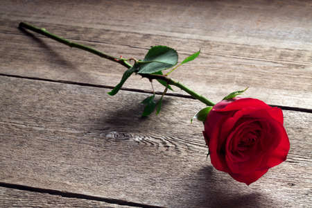 Red rose on a wooden tableの写真素材