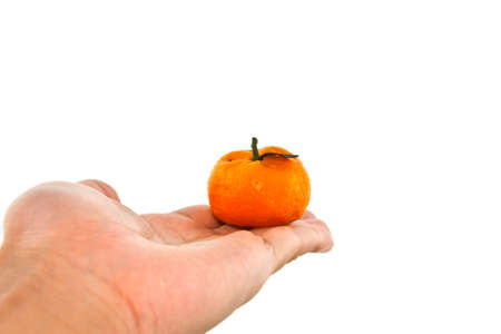Orange isolated on white background
