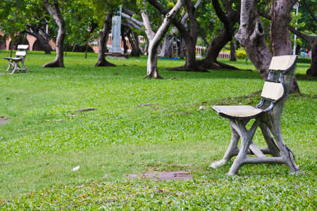 wood garden chair on green grass の写真素材