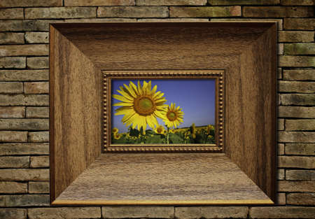 flower in picture frame on brick backgroundの写真素材