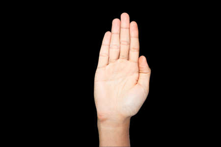 Human hand isolatedの写真素材