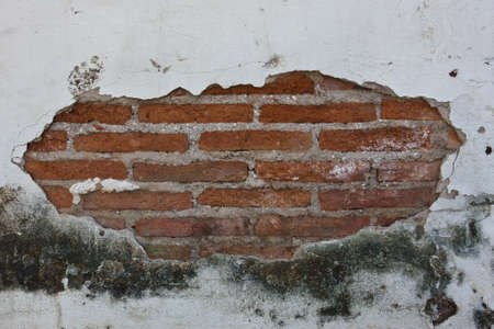 colorful brick wallの写真素材