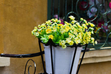 flower garden in flowerpotの写真素材